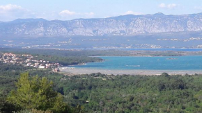Mare